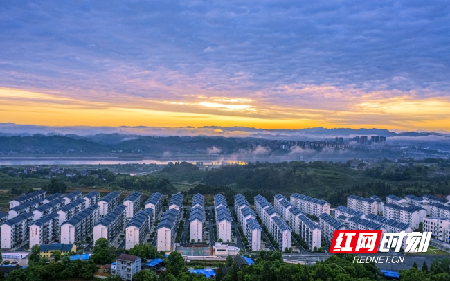 技术进出口 第50页