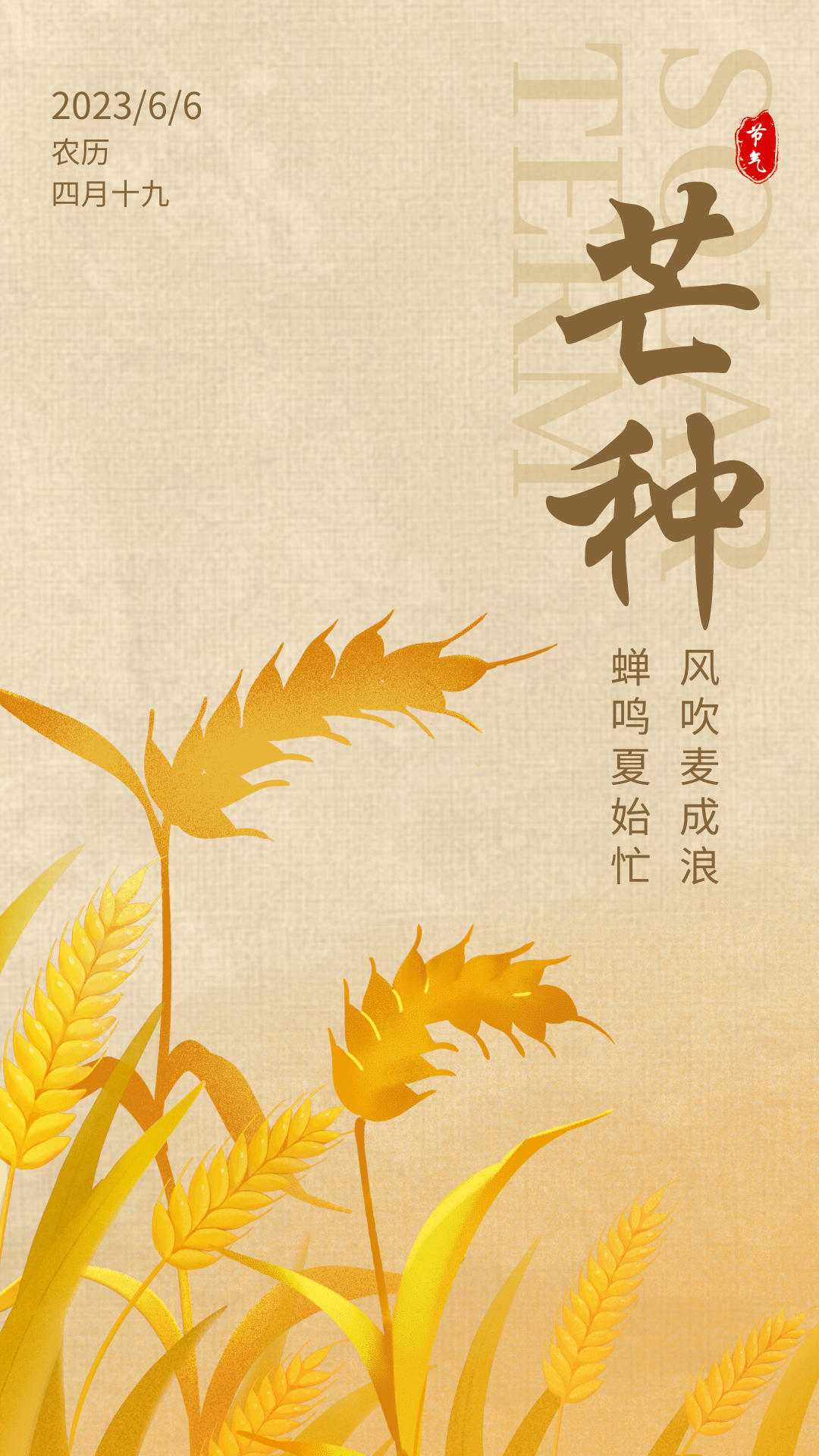 芒种最新版，播种希望，收获成长果实
