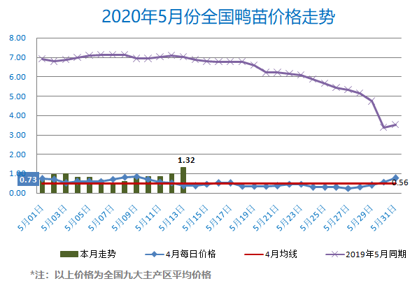 肉鸭市场行情分析或展望