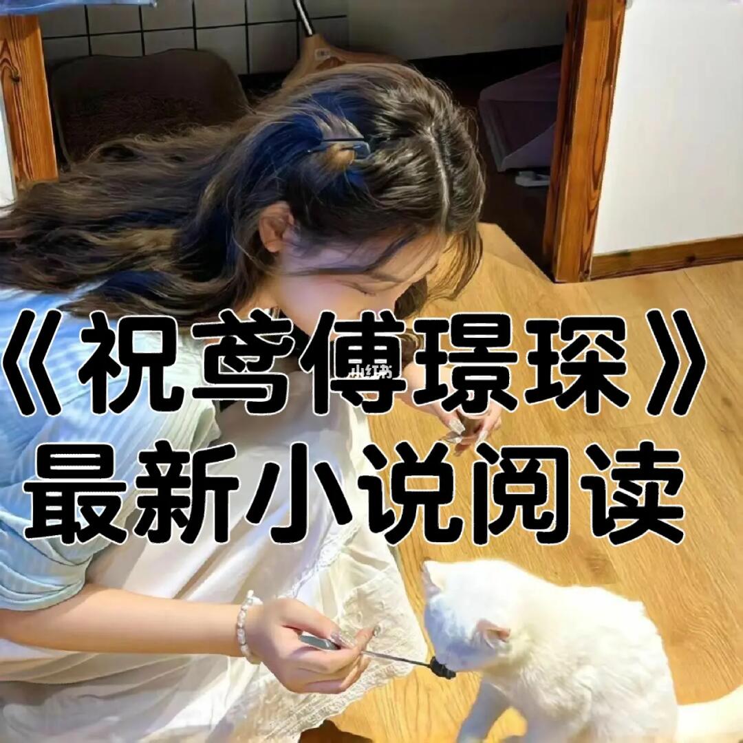 傅瑾城最新，城市生活的温馨日常