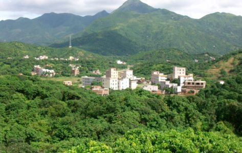 高州根子镇最新事件揭秘