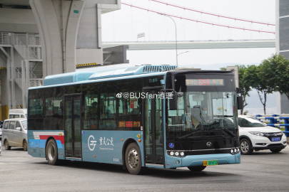 Busfan最新可用后缀揭秘，小巷深处的独特风味探索之旅