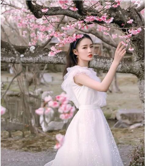李沁最新消息揭秘，城市中的日常温暖时光